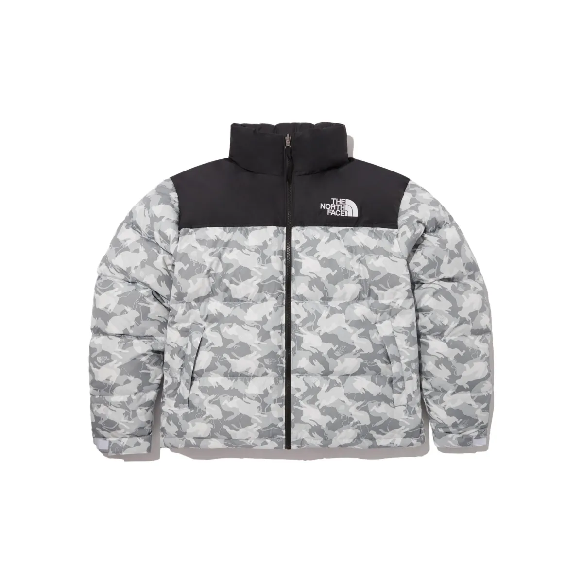 THE NORTH FACE Down Jacket Unisex Gray