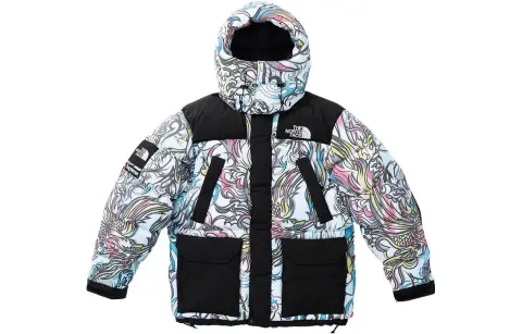 Supreme The North Face 700 Fill Down Parka