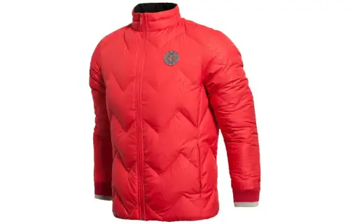 Li Ning Down Jackets Men's Dark Red Color Stand Collar Moderate Other