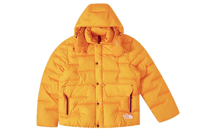 THE NORTH FACE Sierra Rmst Hooded Parka