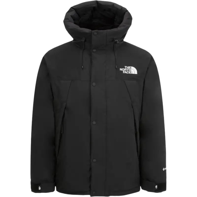 THE NORTH FACE Gtx Mountain Jacket