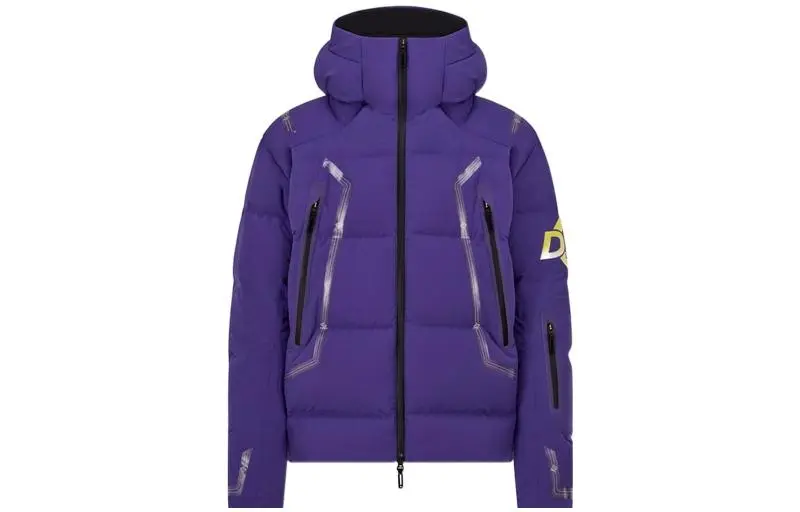 DIOR Down Jackets Men's Hooded Moderate Other