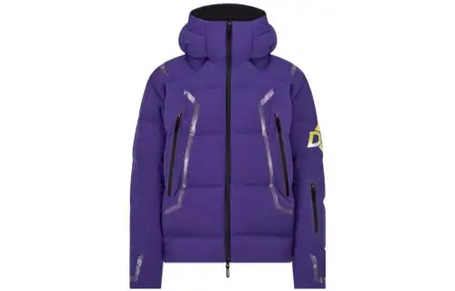 DIOR Down Jackets Men's Hooded Moderate Other