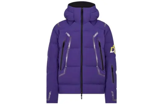 DIOR Down Jackets Men's Hooded Moderate Other