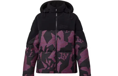 Louis Vuitton 2020s Bimaterial down jacket