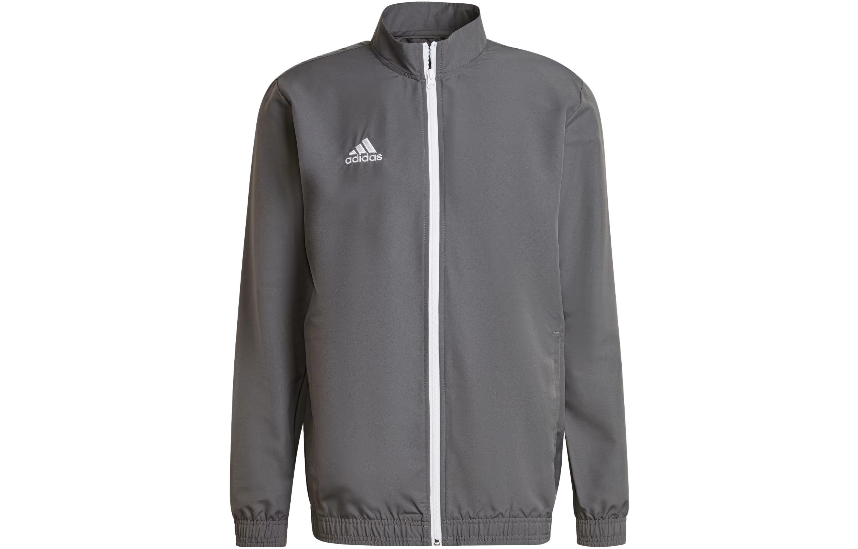 Мужская куртка adidas adidas Entrada 22 Presentation Track Top Logo (серая)
