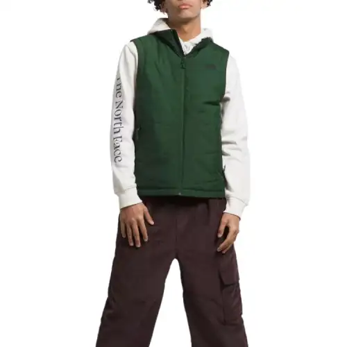 THE NORTH FACE Vest Men's Green