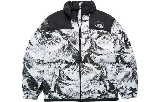 THE NORTH FACE M'S Lhotse Down Jacket Nutral Gray Unisex Korea Version