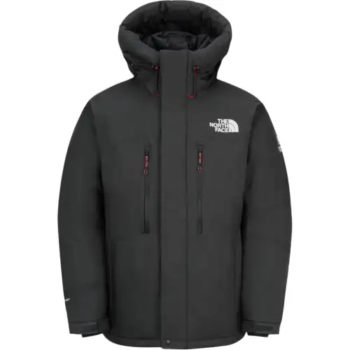 THE NORTH FACE Down Jacket Men's Gray