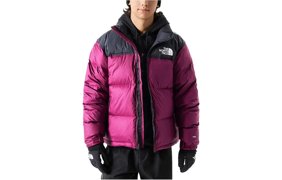 The North Face 96 Retro Nuptse padded jacket