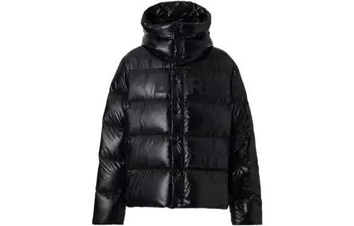 Burberry Detachable Hood Horseferry Print Puffer Jacket