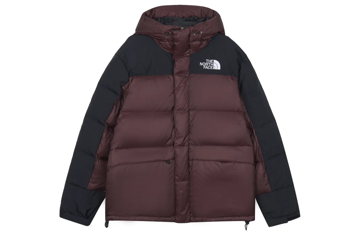 THE NORTH FACE Coats Unisex Media Brown Hooded Moderate Straight Fit