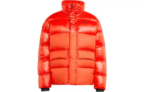 Adidas Originals Trefoil-logo Padded Jacket