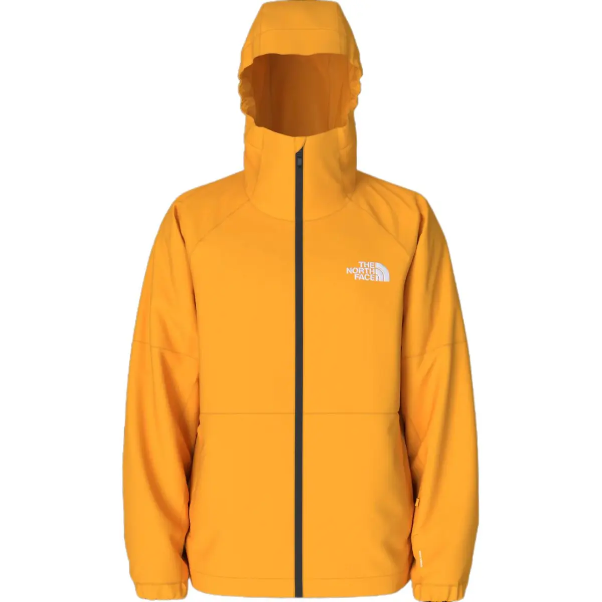 THE NORTH FACE Jackets & Coats Men's Yellow