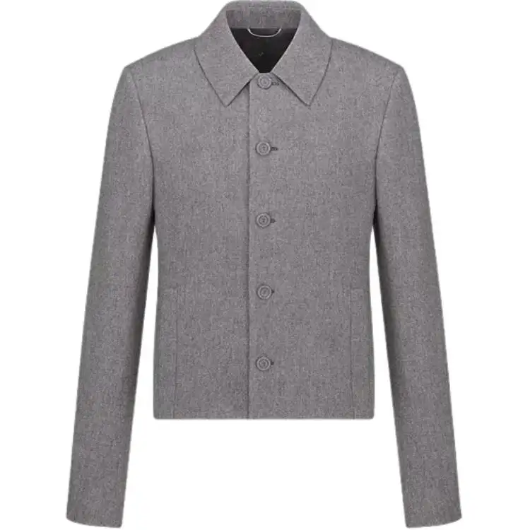 DIOR Coats Men's Gray Moderate Straight Fit