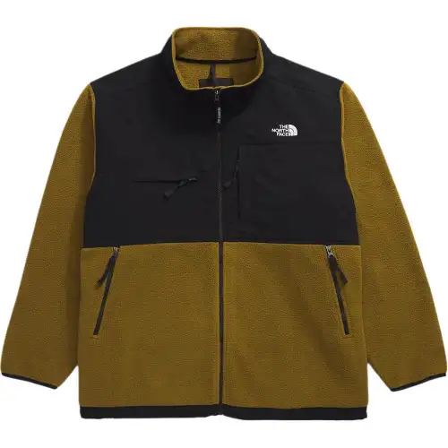 THE NORTH FACE Big Retro Denali Jacket Jackets & Coats Men's Moss Green