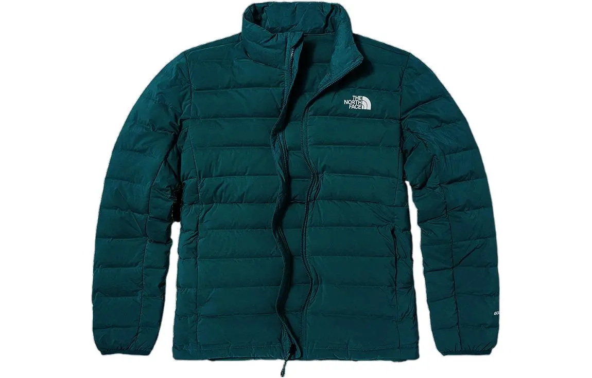 THE NORTH FACE Urban Exploration Down Jacket Men's Green