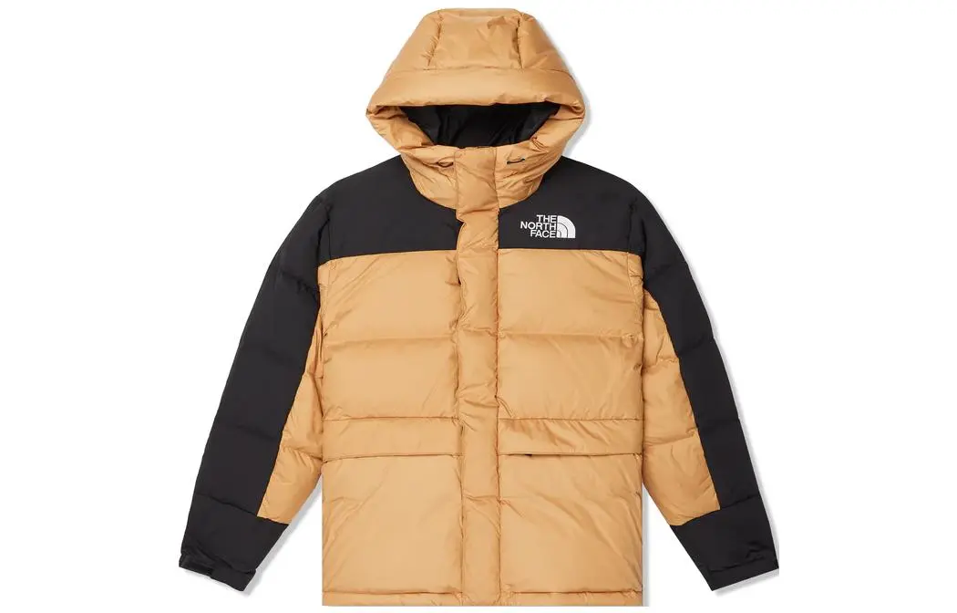 THE NORTH FACE 550 Logo-embroidered Padded Jacket