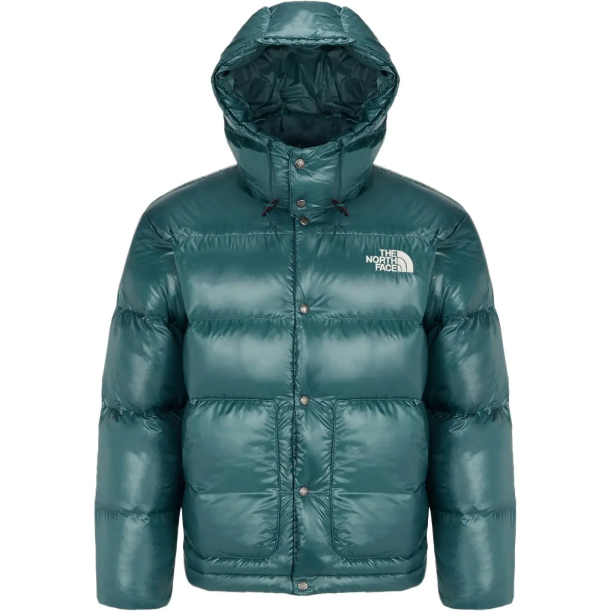 THE NORTH FACE Down Jacket Men's Green