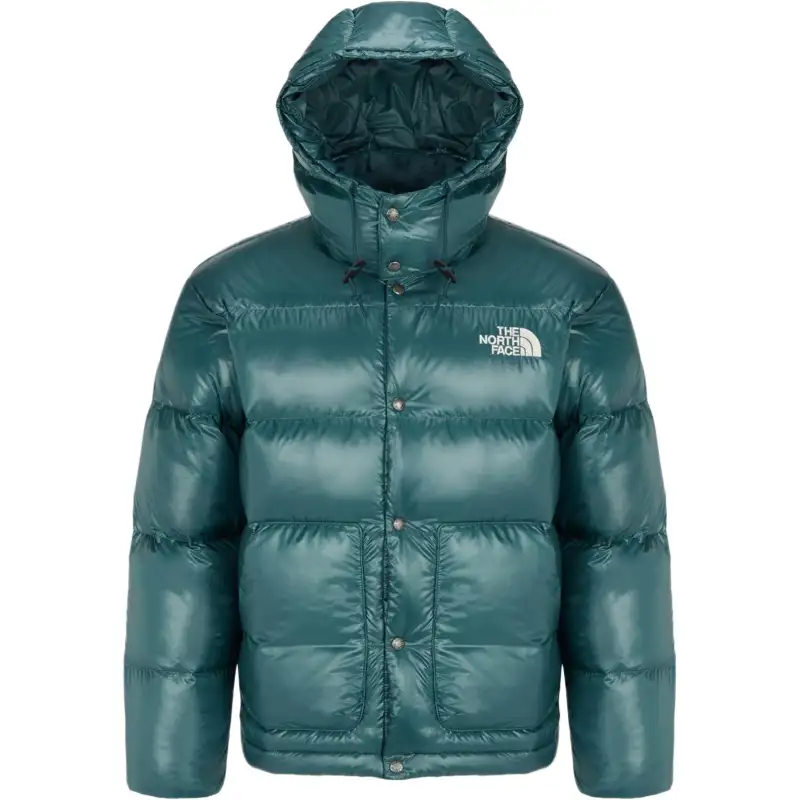 THE NORTH FACE Down Jacket Men's Green