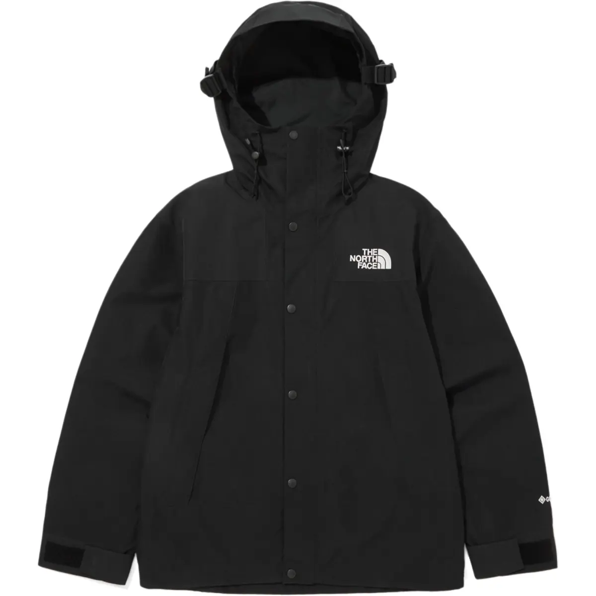 THE NORTH FACE M'S Eco Gore Tex Mountain Jacket Black Unisex Korea Version
