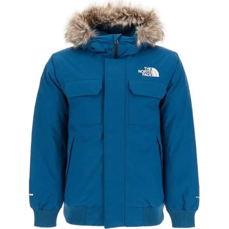 THE NORTH FACE Down Jacket Men's Blue