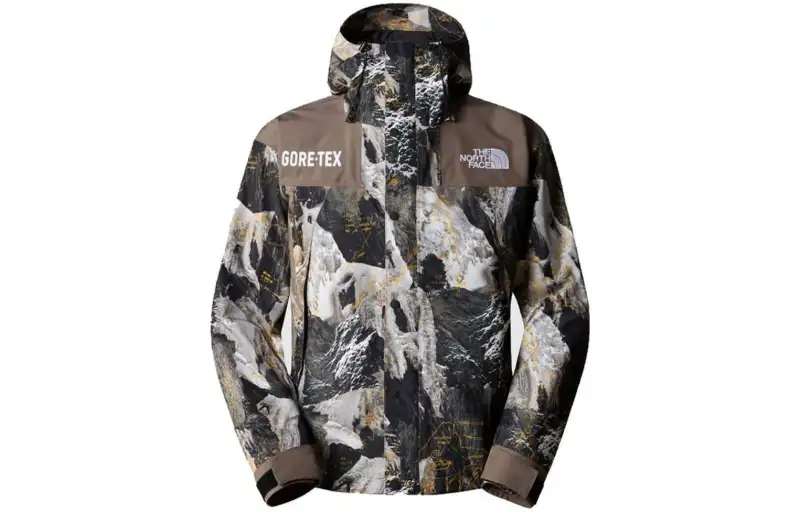 THE NORTH FACE Gtx Mountain Jacket