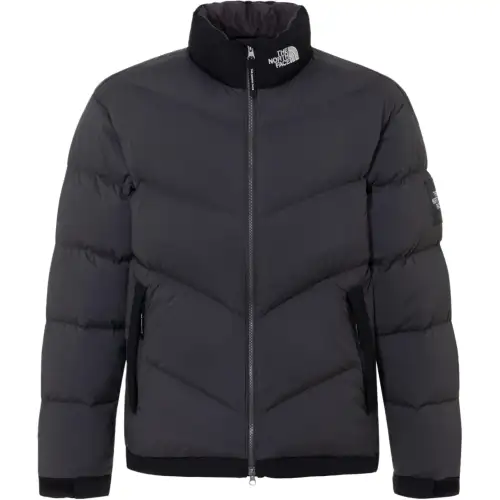 THE NORTH FACE Down Jacket Men's Gray