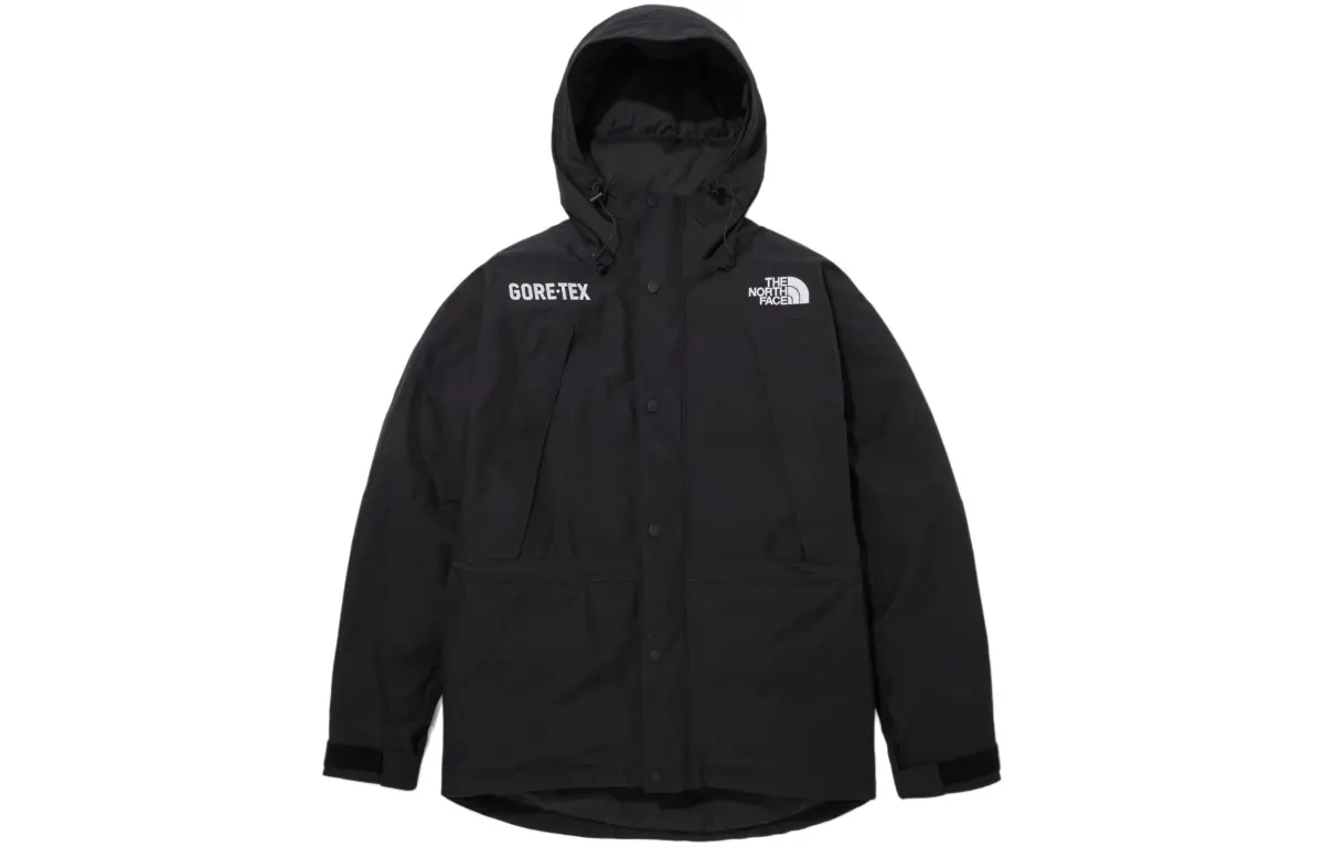 THE NORTH FACE Mountain Down Jackets & Coats Men's Black