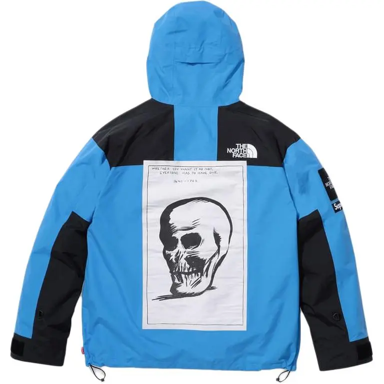 Supreme x The North Face mountain jacket