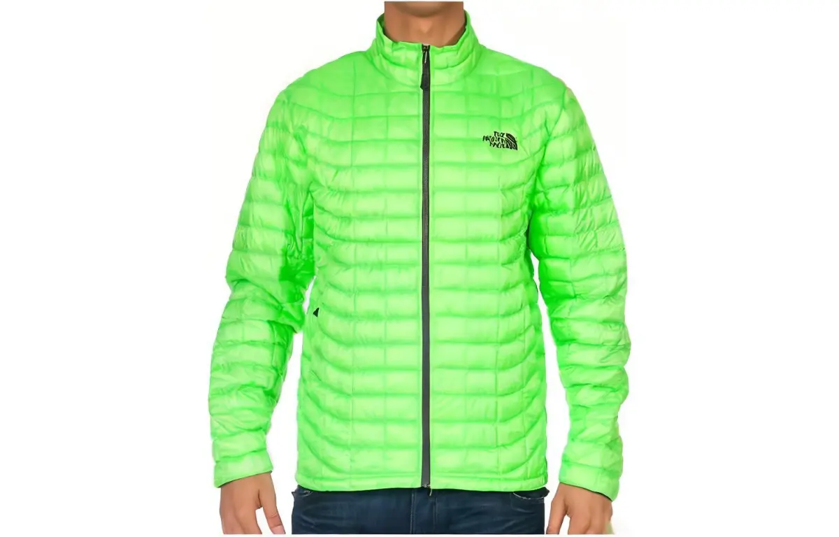 THE NORTH FACE Jacket Men's Green