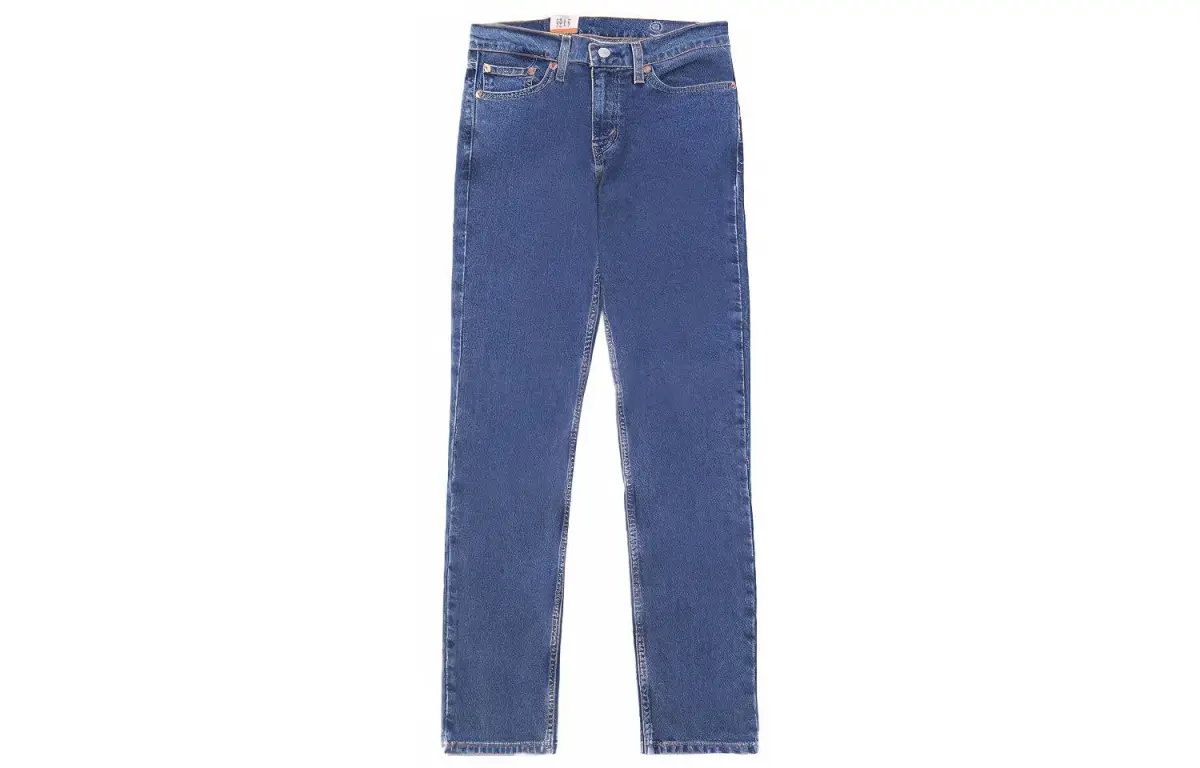 Levi's Jeans Men's Blue Moderate Straight Fit Pants