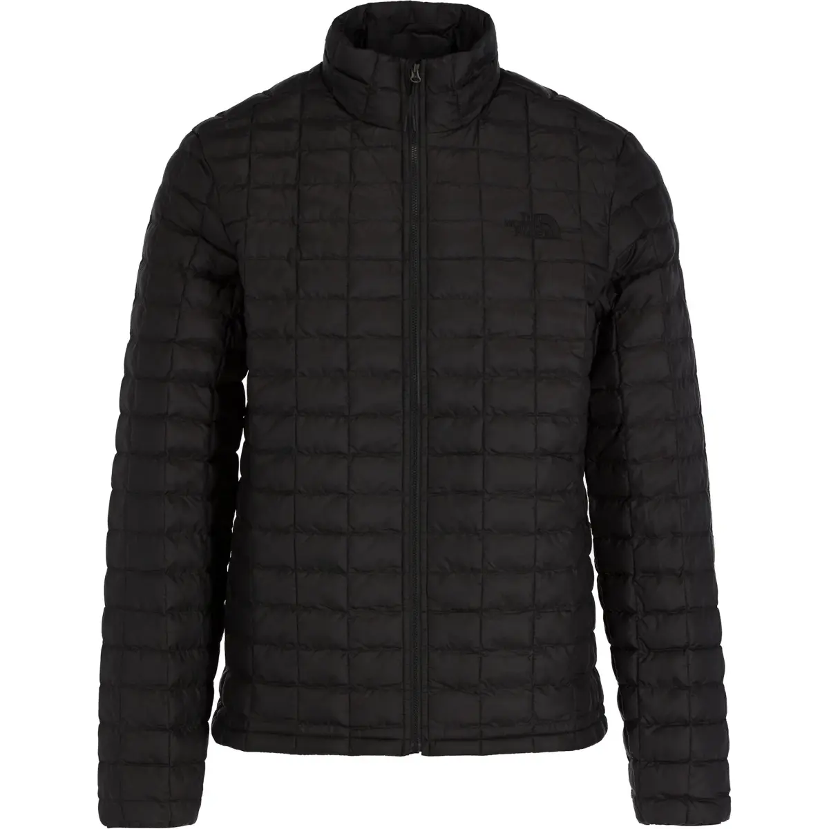 THE NORTH FACE Jacket Men's Black