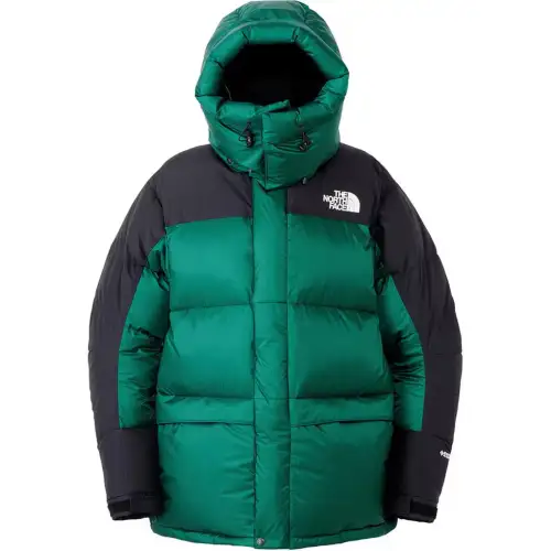 THE NORTH FACE Down Jacket Men's Green