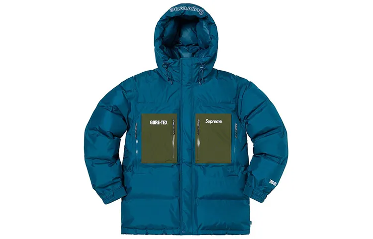 Supreme GORE TEX 700 Fill Down Parka FW19