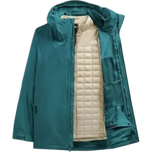 THE NORTH FACE Jackets & Coats Men's Blue