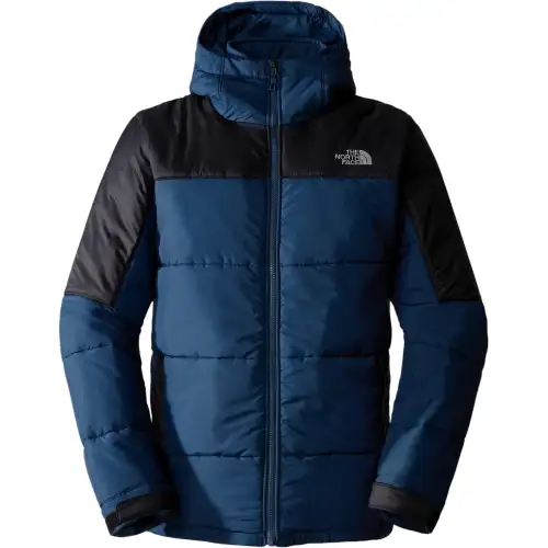 THE NORTH FACE Jackets & Coats Men's Blue