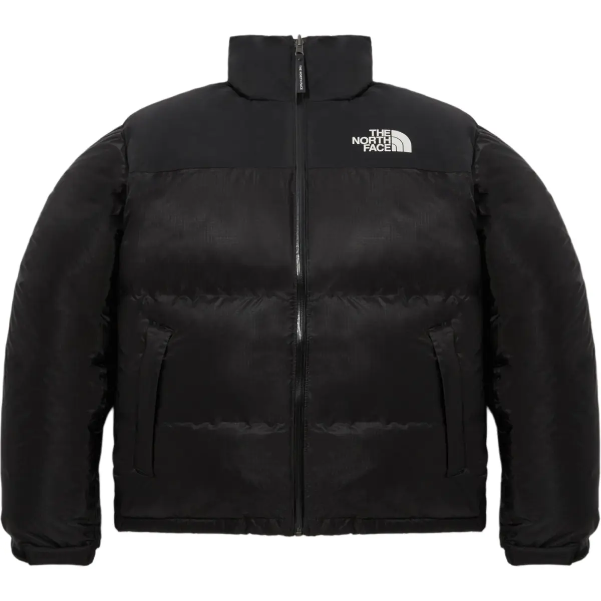 THE NORTH FACE 1996 Down Jacket Men's Black