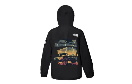 THE NORTH FACE Waterproof And Windproof Windbreaker Jacket Unisex Black