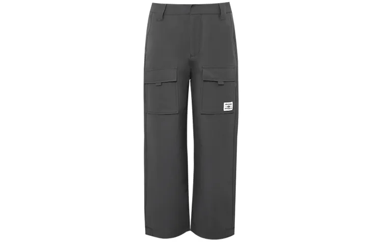 Dickies Casual Pants Men's Dark Gray