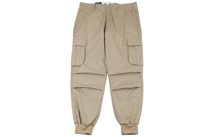 Dickies Casual Pants Men's Sand
