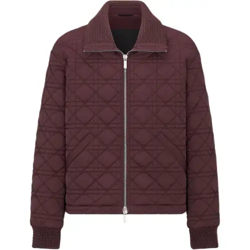 DIOR SS25 Jackets & Coats Men's Burgundy
