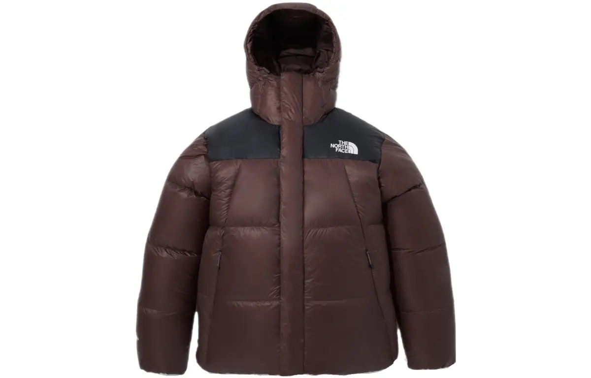 THE NORTH FACE SUMMIT Down Jackets & Coats Unisex Brown