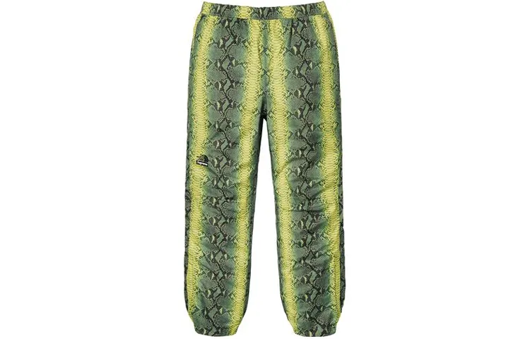 Supreme The North Face Snakeskin Taped Seam Pant