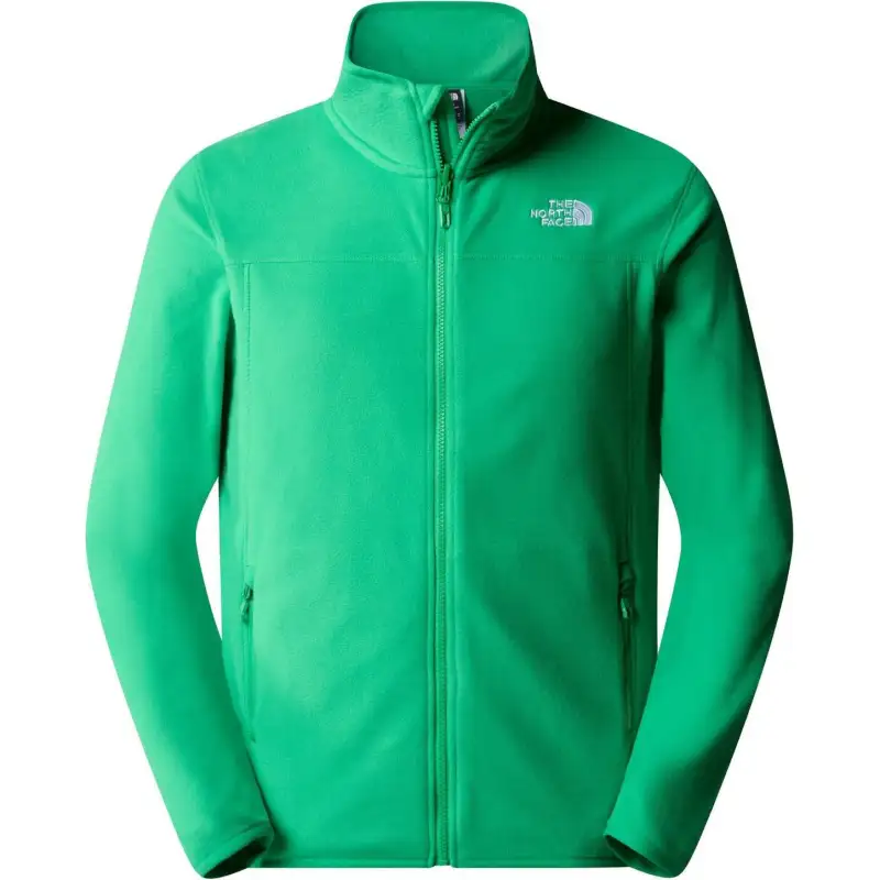 THE NORTH FACE Jackets & Coats Men's Green