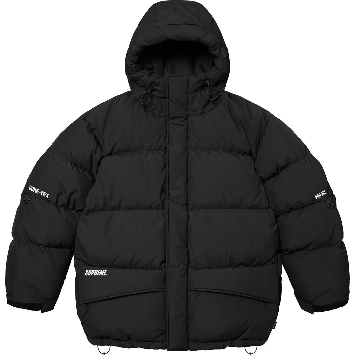 Supreme GORE TEX 900 Fill Down Parka