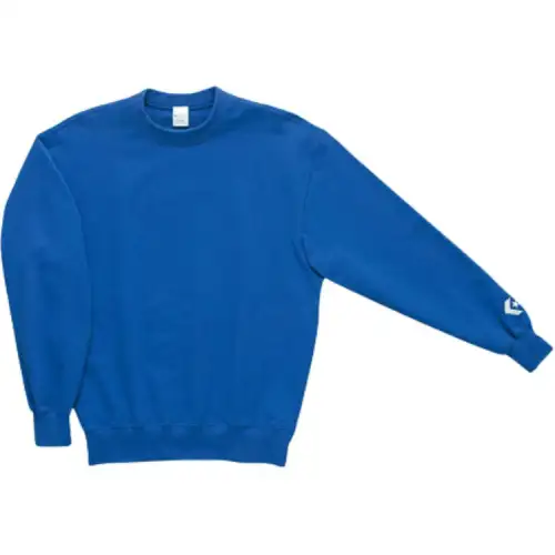 Converse Sweatshirts Men's Blue Crew Neck Moderate