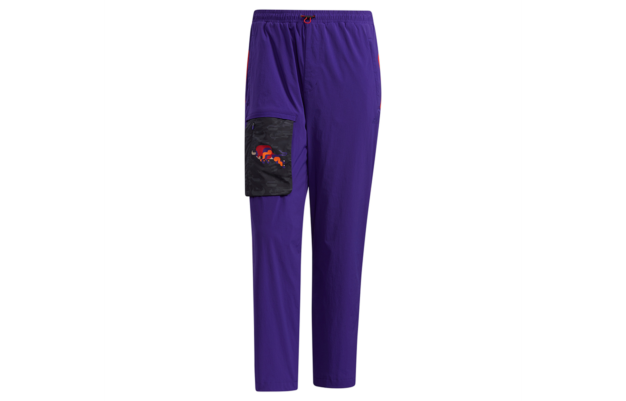 Adidas CNY Collection Cargo Pants Men's Collegiate Purple Moderate