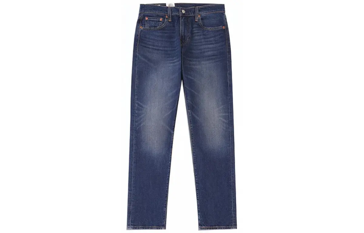 Levi's Jeans Men's Blue Moderate Straight Fit Pants