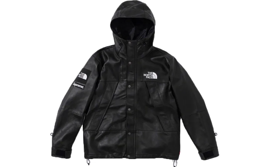 Supreme The North Face Leather Mountain Parka